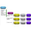 Transfert de compétences et mutualisation dans les services techniques