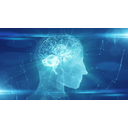 RNIT 2022 : L’Intelligence collective comme recours face à la complexité et comment la mobiliser