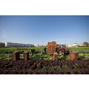 Protection foncière agricole : Avoir une stratégie foncière durable (Ex: projet RECOLTE)