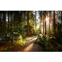 Oxygène - Cette famille d'émission regroupe des émissions qui abordent de grandes thématiques comme exemple la lutte contre le gaspillage sans contrainte de temps et en plusieurs épisodes. Oxygène